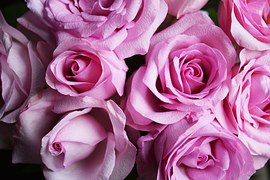 Süßer Sweat-Hoodie  Gr. S, Amisu!