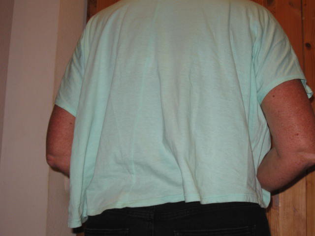 *** Print Crop Shirt ***