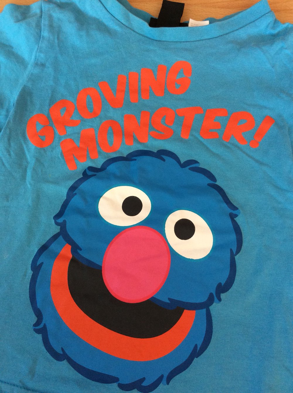 T-Shirt Sesamstraße Grobi Türkis Gr.86/92 \\n