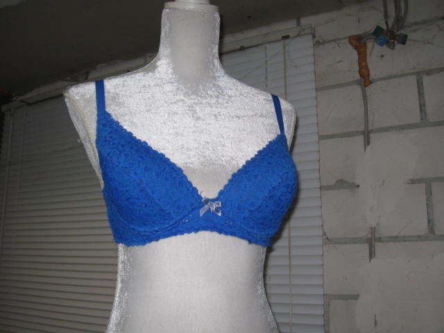 *** Formschöner BH ***