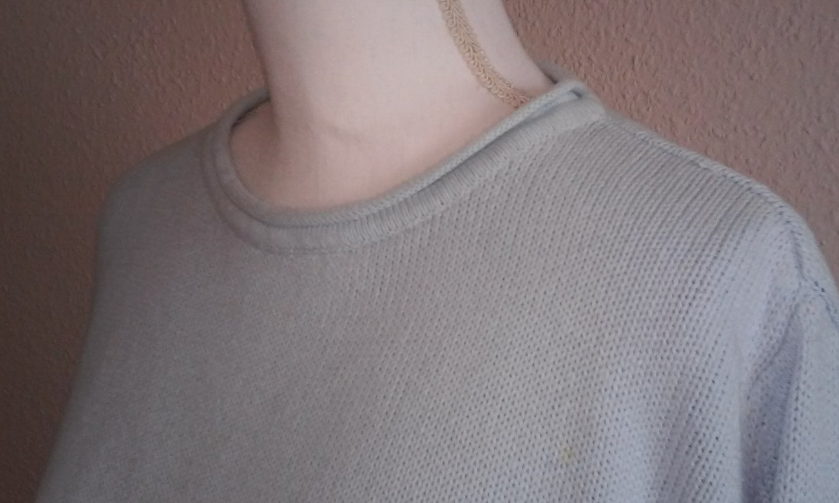 long Sweatshirt Langarm Shirt Rundhals/kl.Kragen Pulli Basic Oberteil hellblau