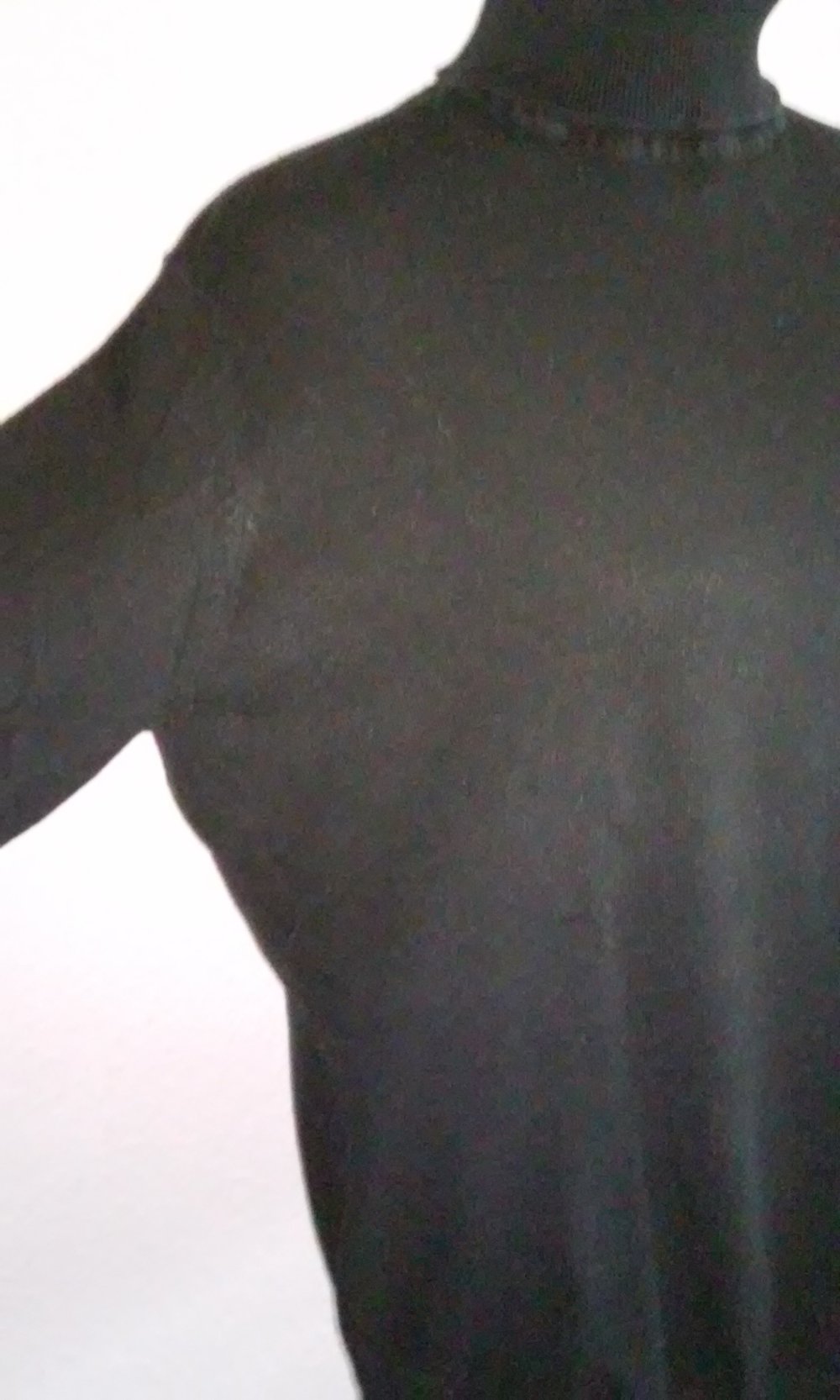 Rollkragenpullover Pullover Rolli Pulli stretch schwarz