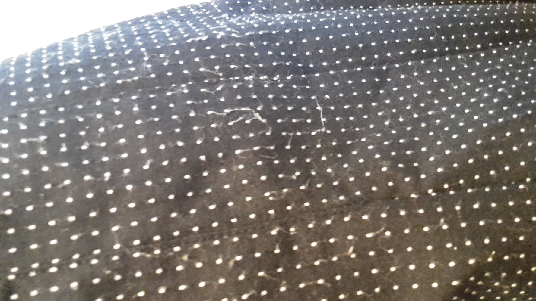 only Faltenrock Schwarz Pünktchen 