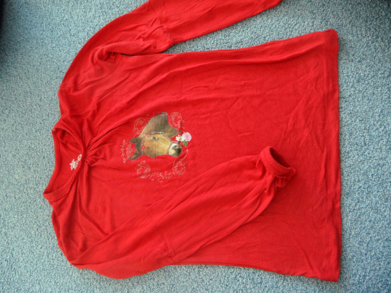 Whoopi Königsmühle tolles Langarmshirt mit Pferd / Pony