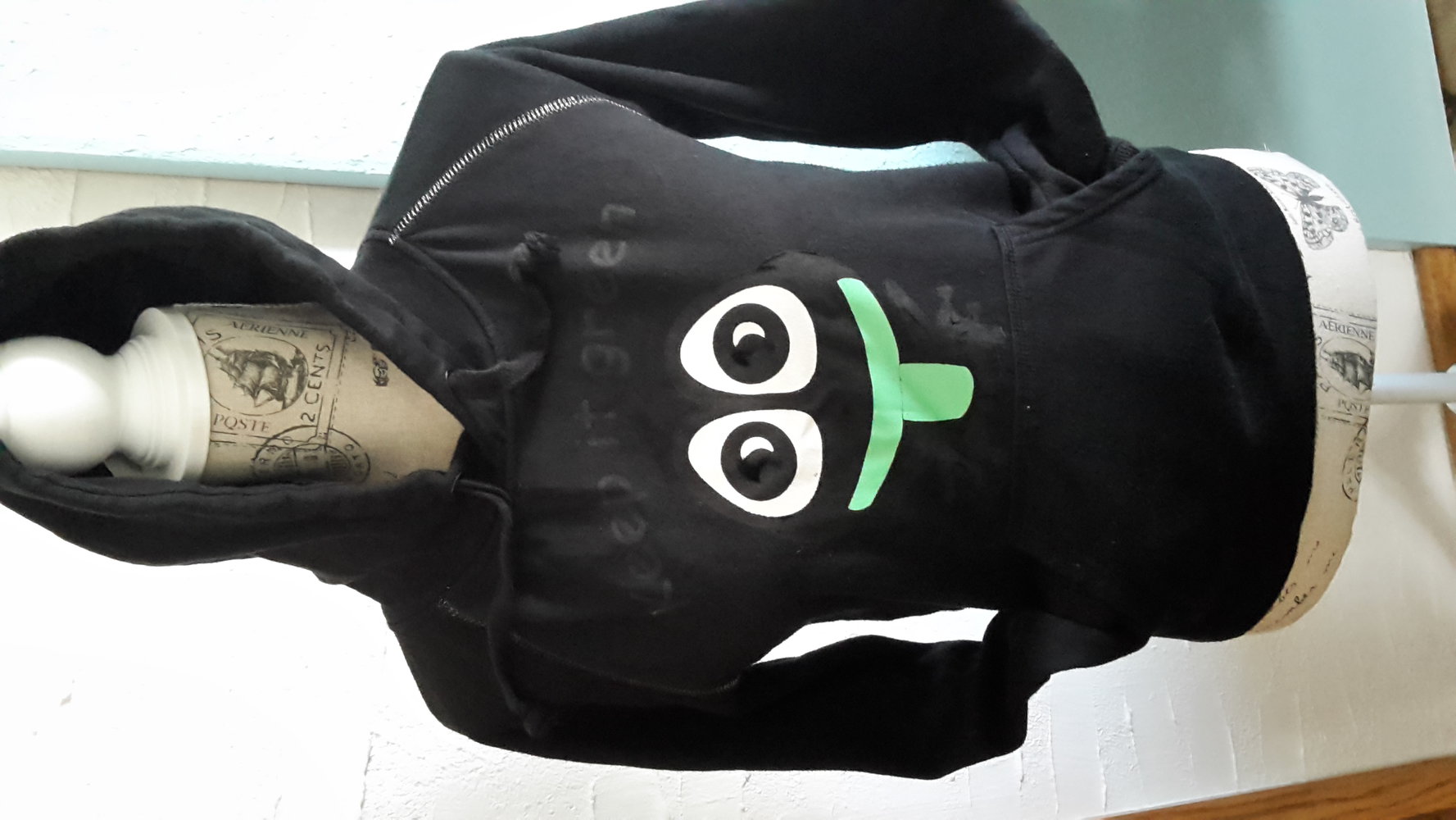 Funshirt Pulli Frosch 