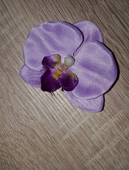 Haarblüte Orchidee 