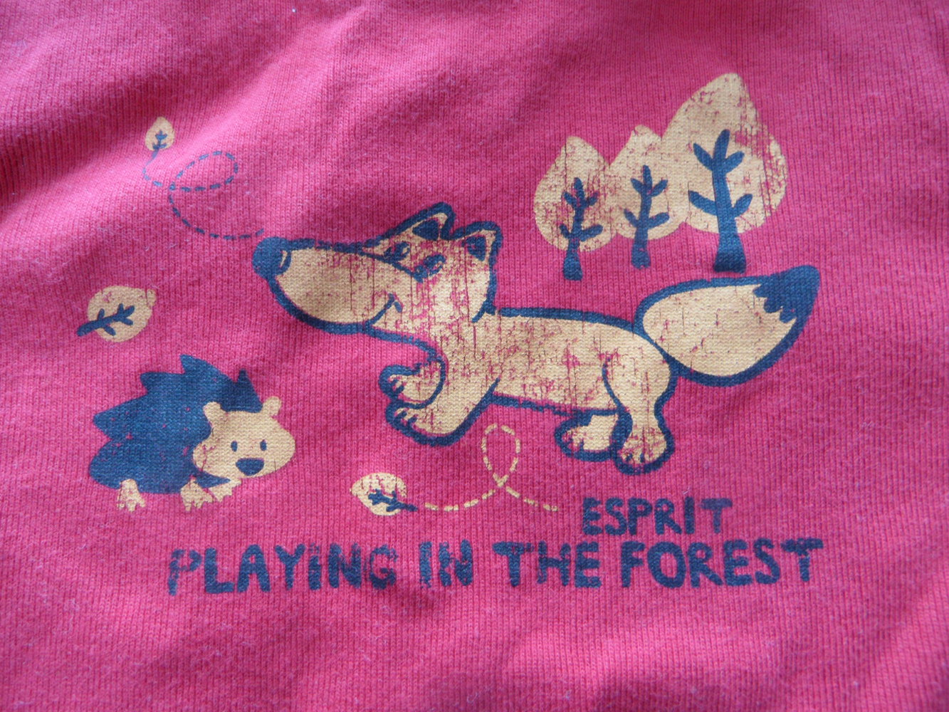 Esprit Langarmshirt Wald