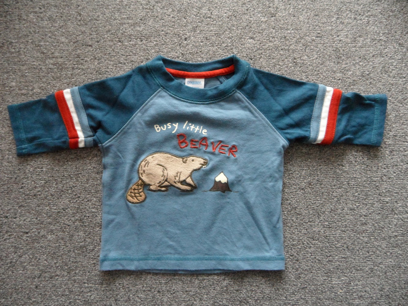 Gymboree süßes Langarmshirt für Biberfreunde