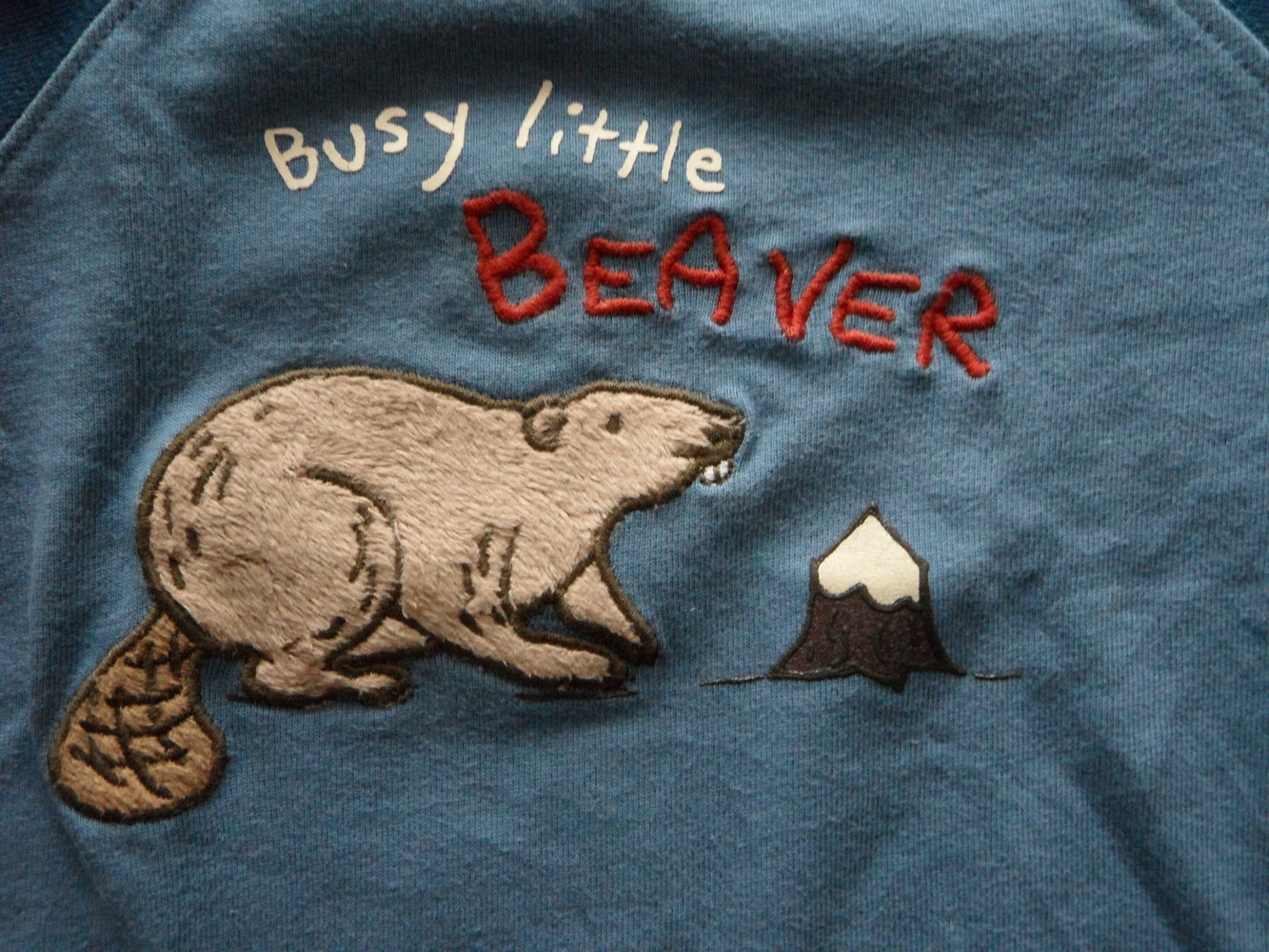 Gymboree süßes Langarmshirt für Biberfreunde