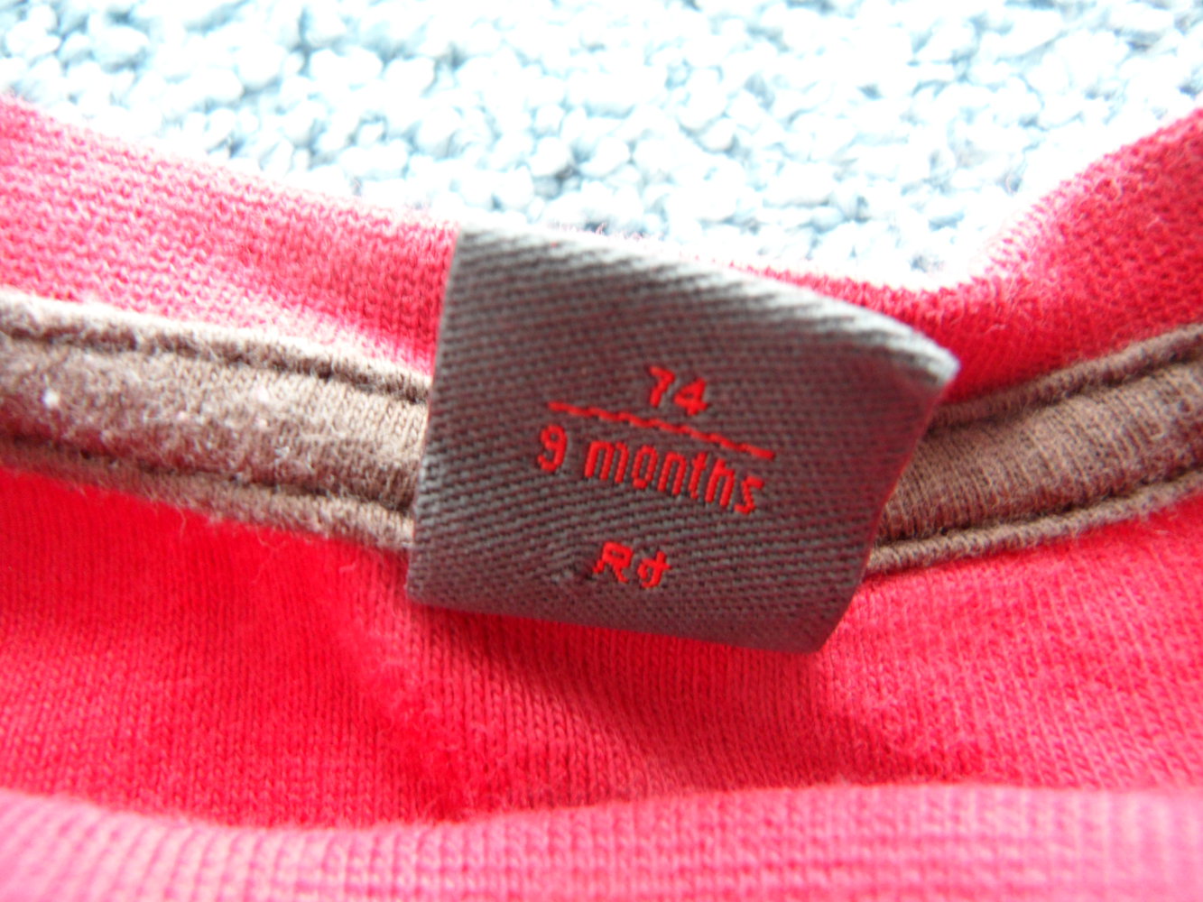 Esprit Langarmshirt Wald