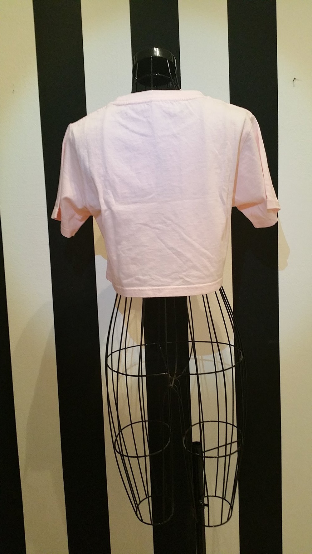 New Black Landscape Logo Crop Top Rose