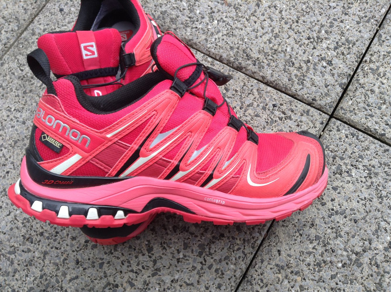 Sportschuhe Salomon GoreTex 