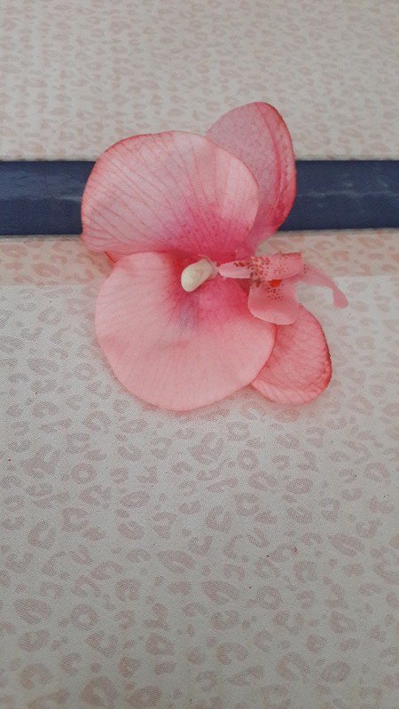 Rosa Haarblüte Orchidee