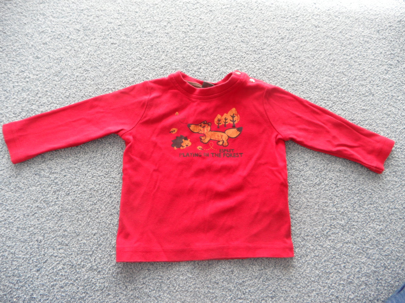 Esprit Langarmshirt Wald