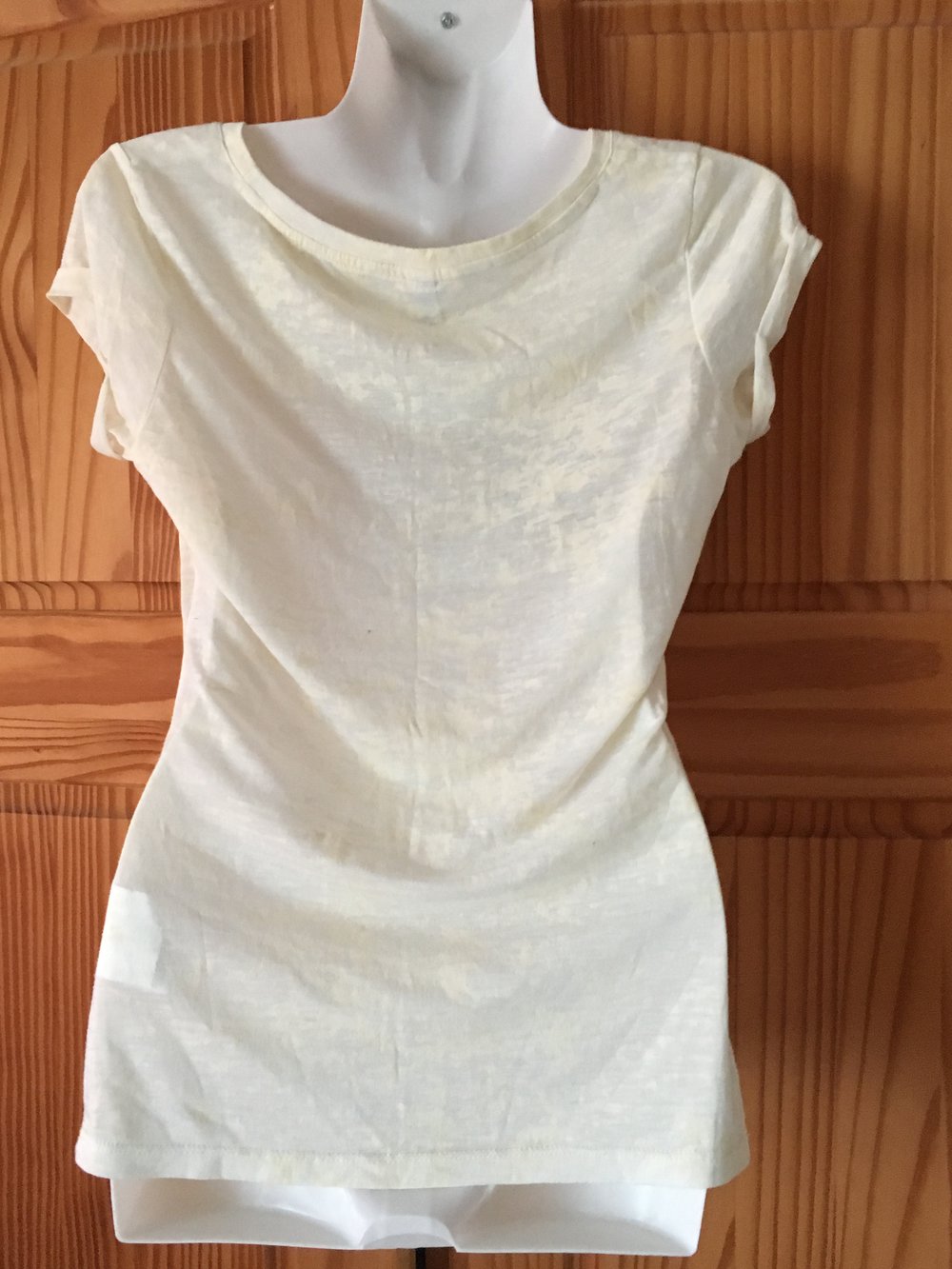 T shirt, Fishbone, Amerika