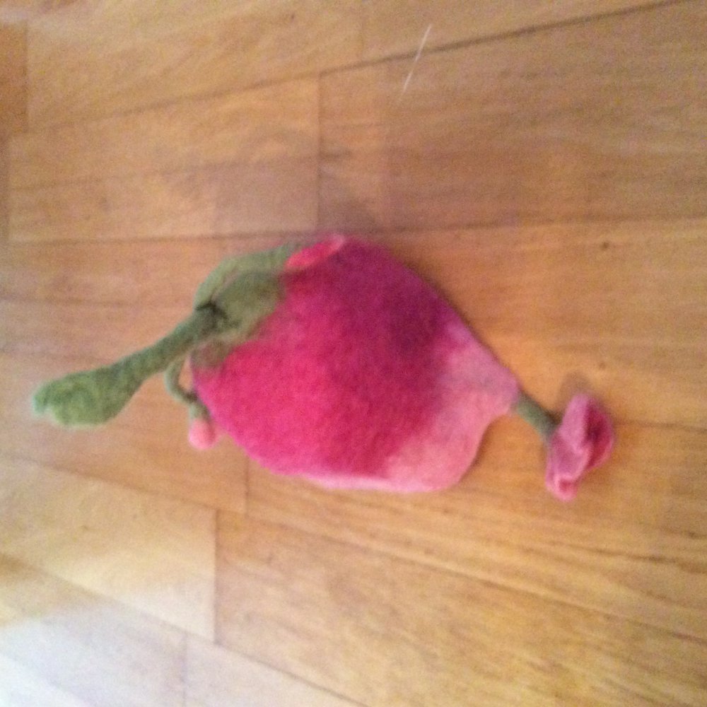 Waldorf Mütze gefilzt handgemacht neu Filz Mütze  