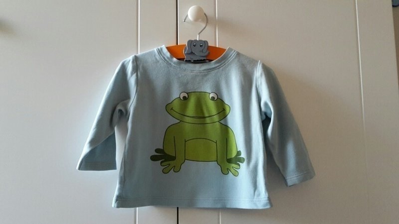 toller Froschpulli in Größe 80