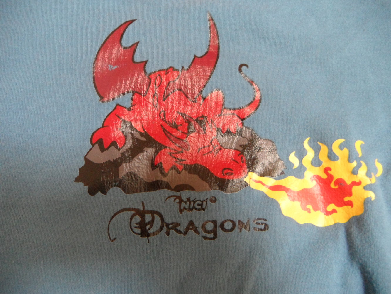 Schiesser 92/98 Schlafanzug Pyjama Zweiteiler Drache Nici