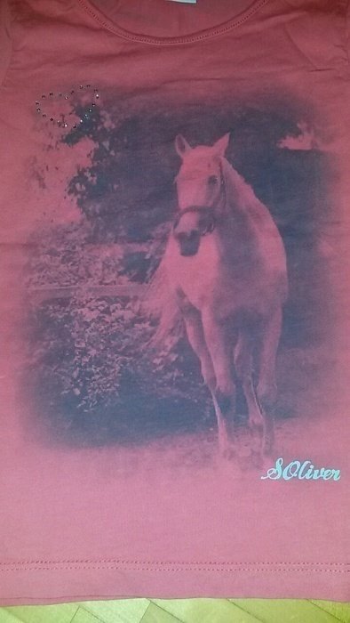 s.Oliver T-Shirt Pferd Fotodruck