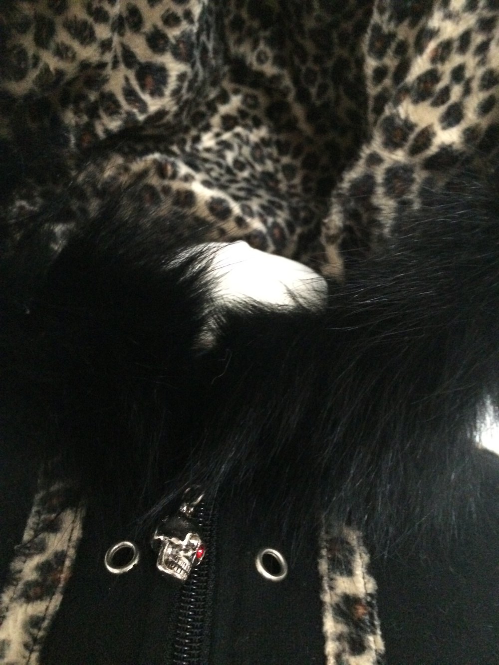 süßer Zipper mit Katzenohren und Fell leo