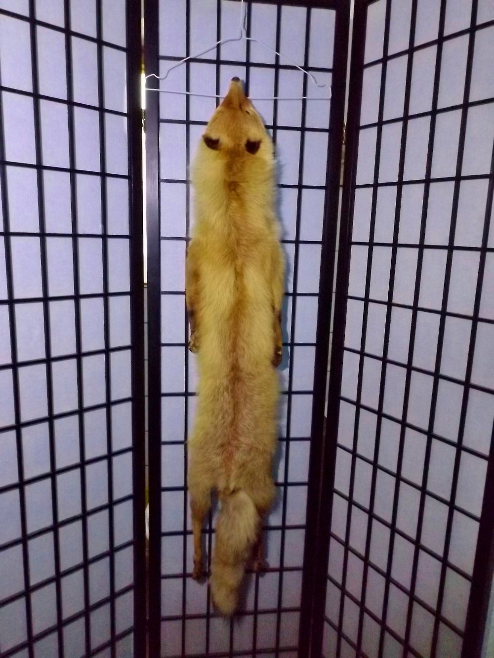 Fuchsstola Fuchsstola elegant & Luxoriös