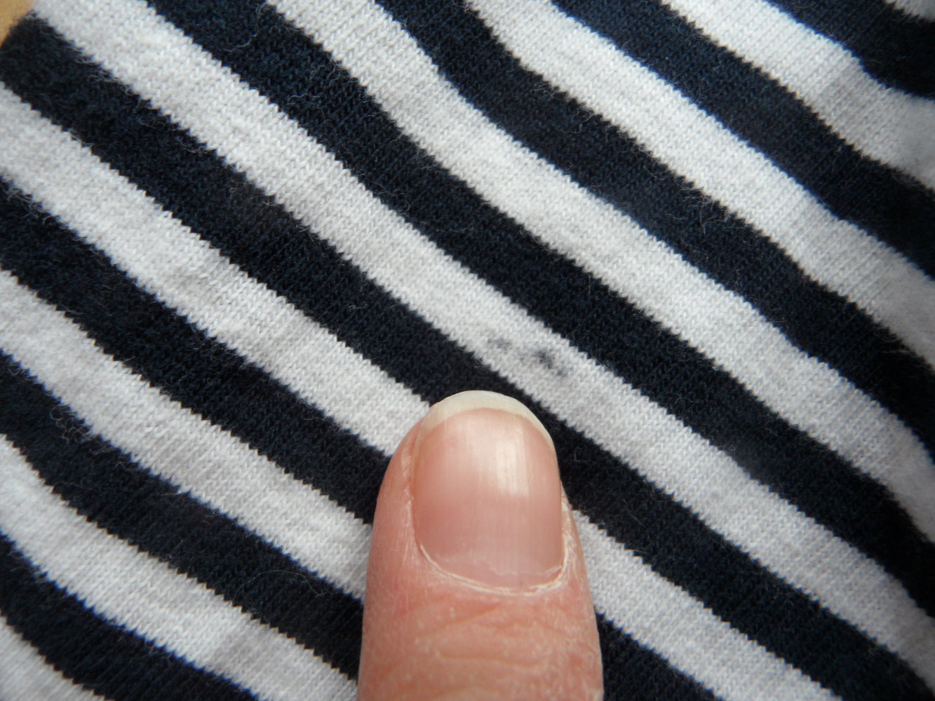 neues Langarmshirt von DingDong maritim 86/92