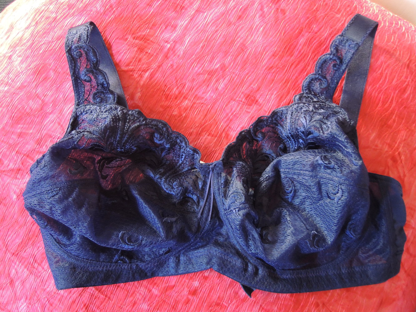 Rosa Faia, blaue Spitze, neu, 80 F