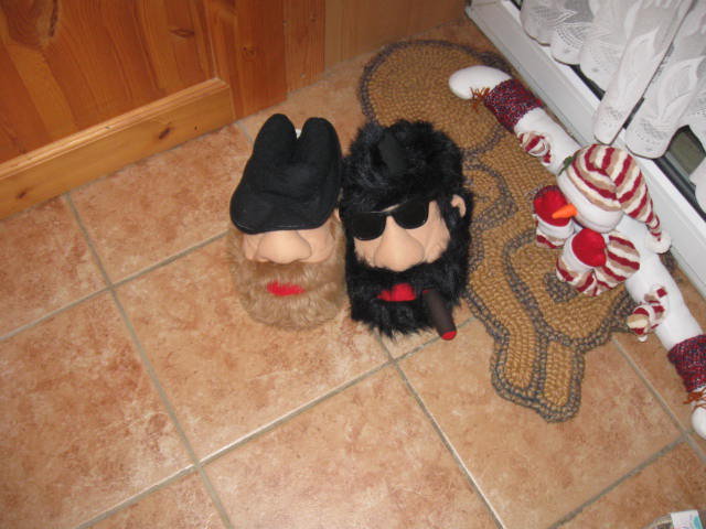 *** Neu ~ Hausschuh ~ Witzig ~ Fasching ***