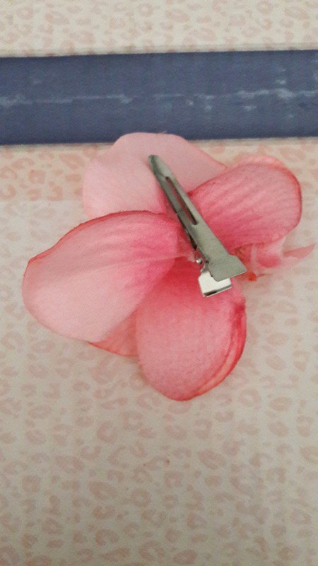 Rosa Haarblüte Orchidee