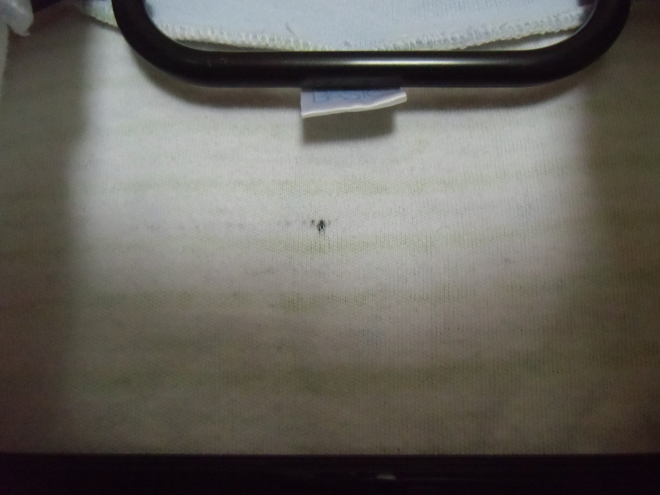 Schlaf-Overall / Schlafstrampler