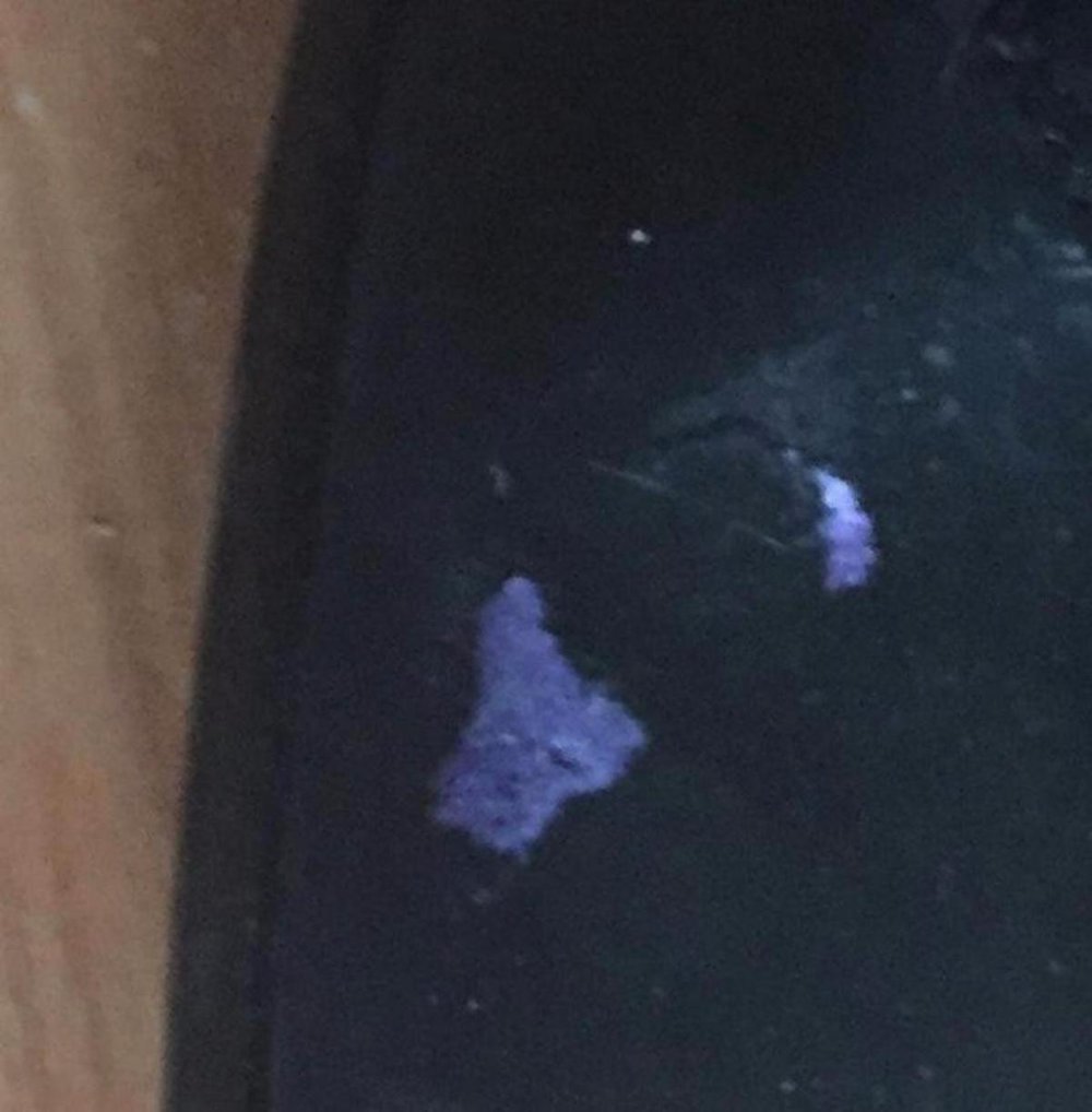 Schnürstiefel Milleniumstyle Wildlederoptik schwarz