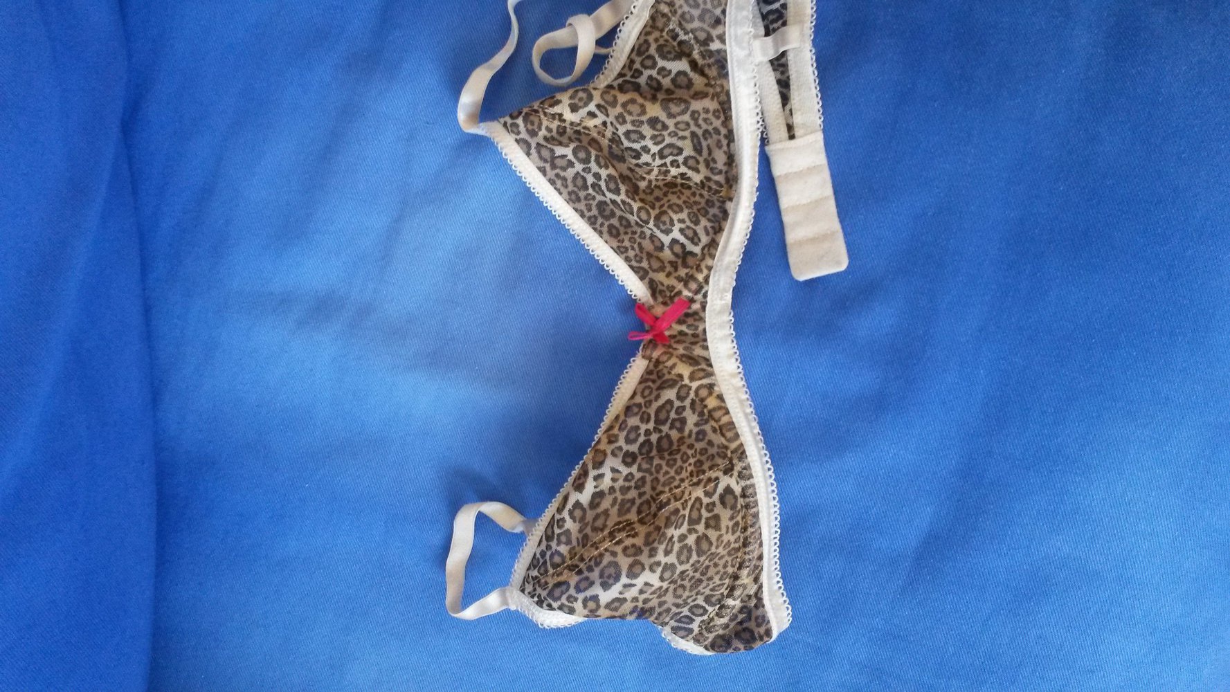 Leo BH pinke Schleife