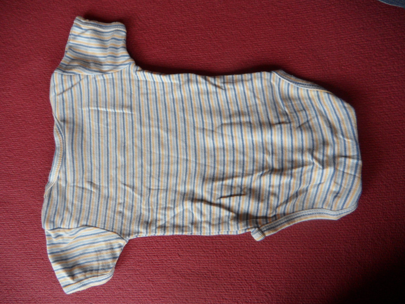 Alana bio Body Ringel halbarm