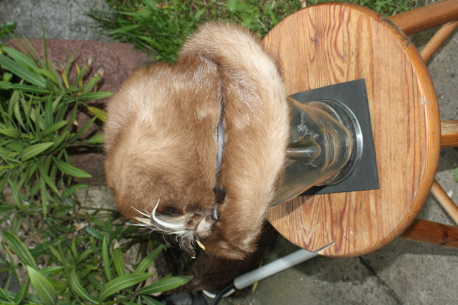 Echter Pelz Hut, Fell Mütze, Gr. 57, Exclusiv, mit Feder seitlich