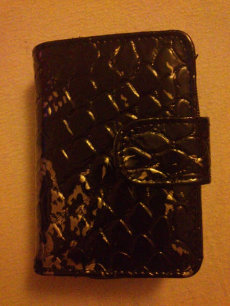 Schicker Geldbeutel NEU