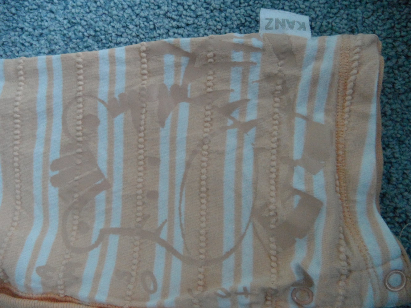 Kanz megasüßer Spieler kurz mit Zebra