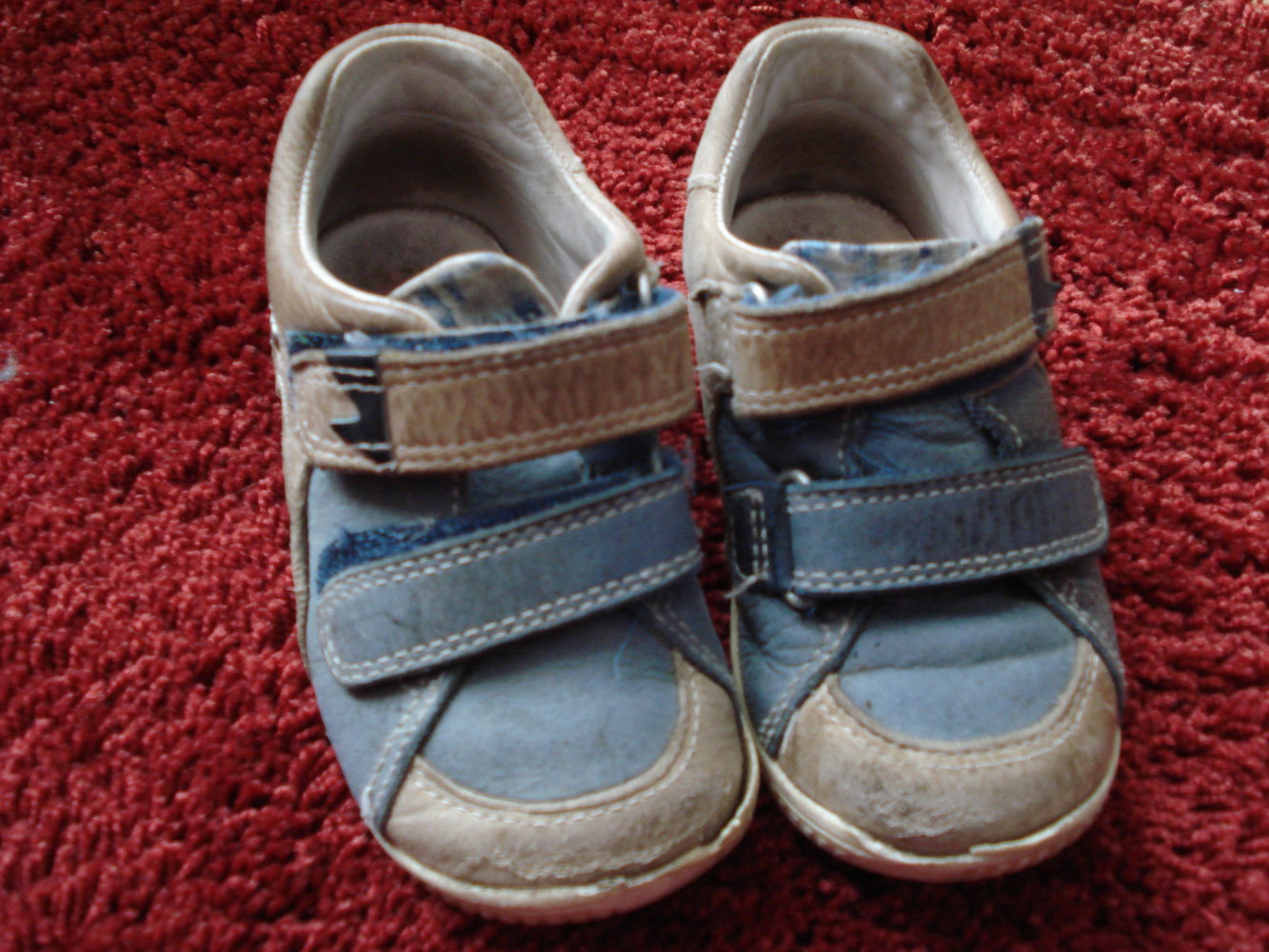 blaue Elefanten-Halbschuhe