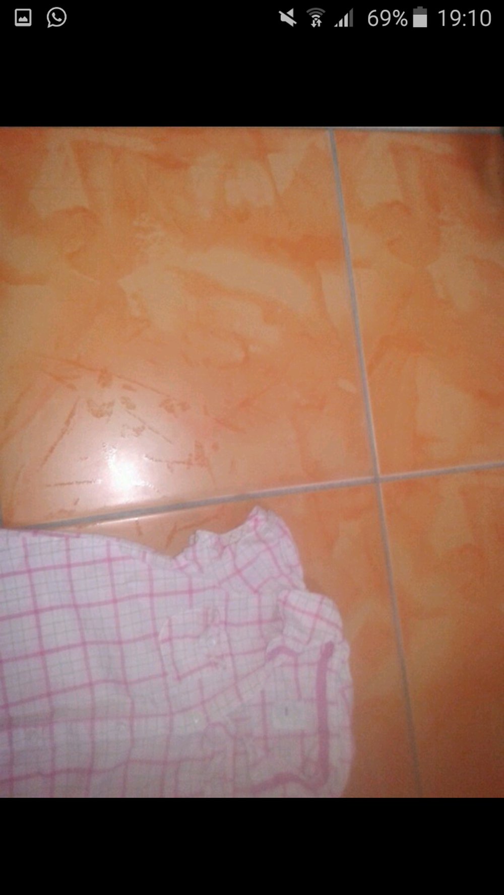 Bluse,kurzärmlig, kariert, Gr. 86