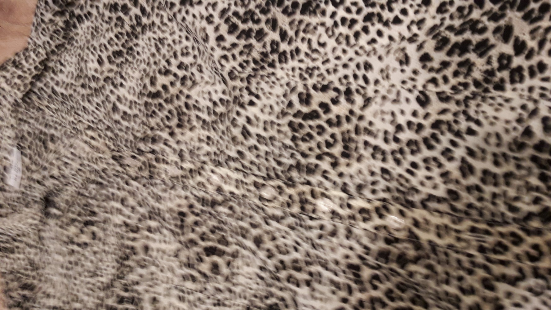 Bluse M/40 leoprint muster leo sommer kurzärmlig Frühling busniss