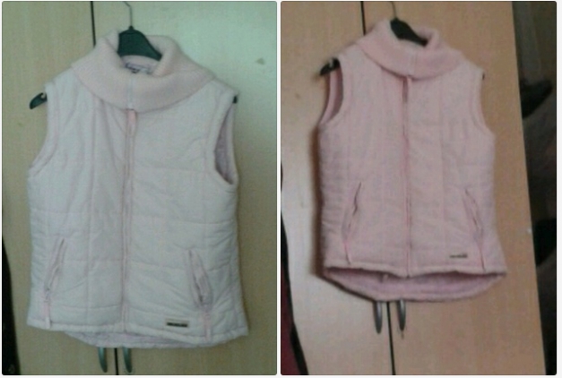 Rosa weste winter Herbst.png