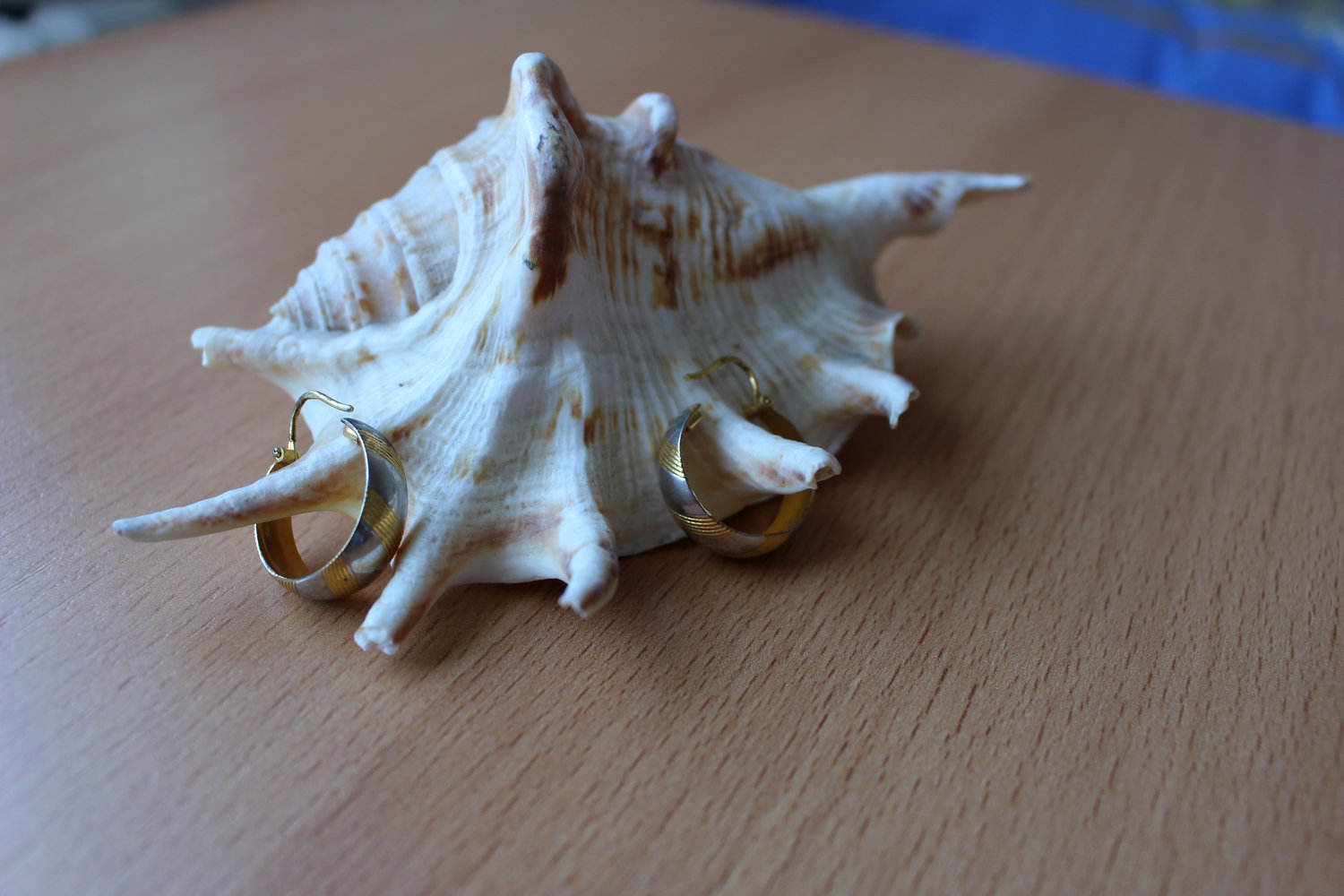 279. Neue Ohrringe/Creolen, Modeschmuck