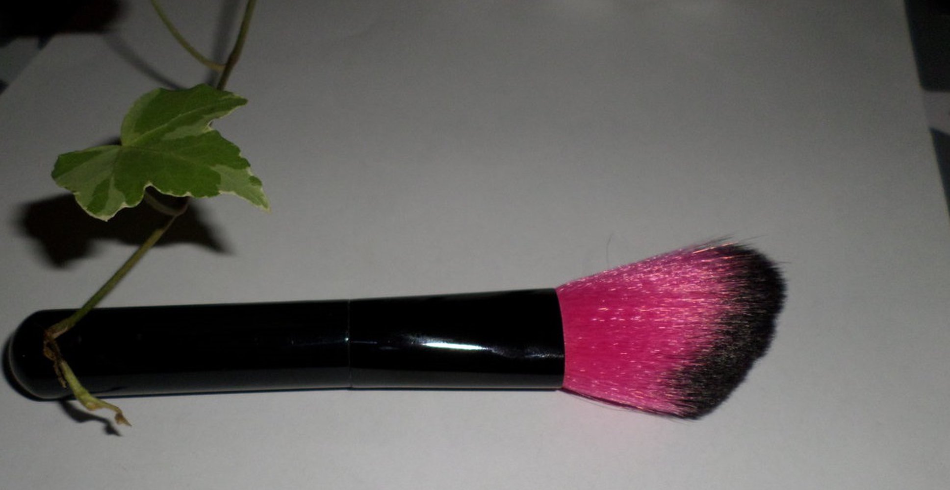 Essence Show Off!! LE  Rouge Pinsel Brush 