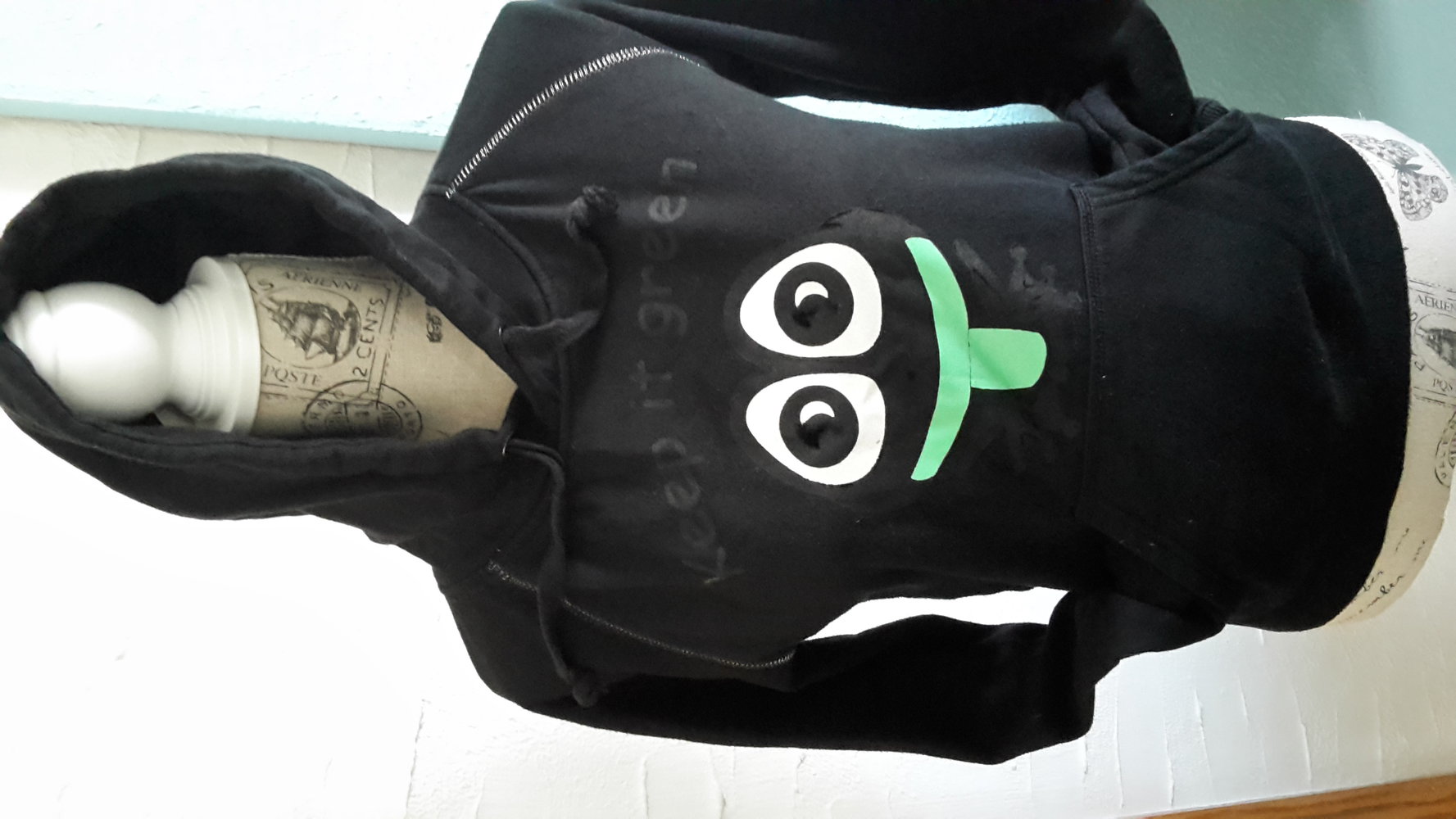 Funshirt Pulli Frosch 