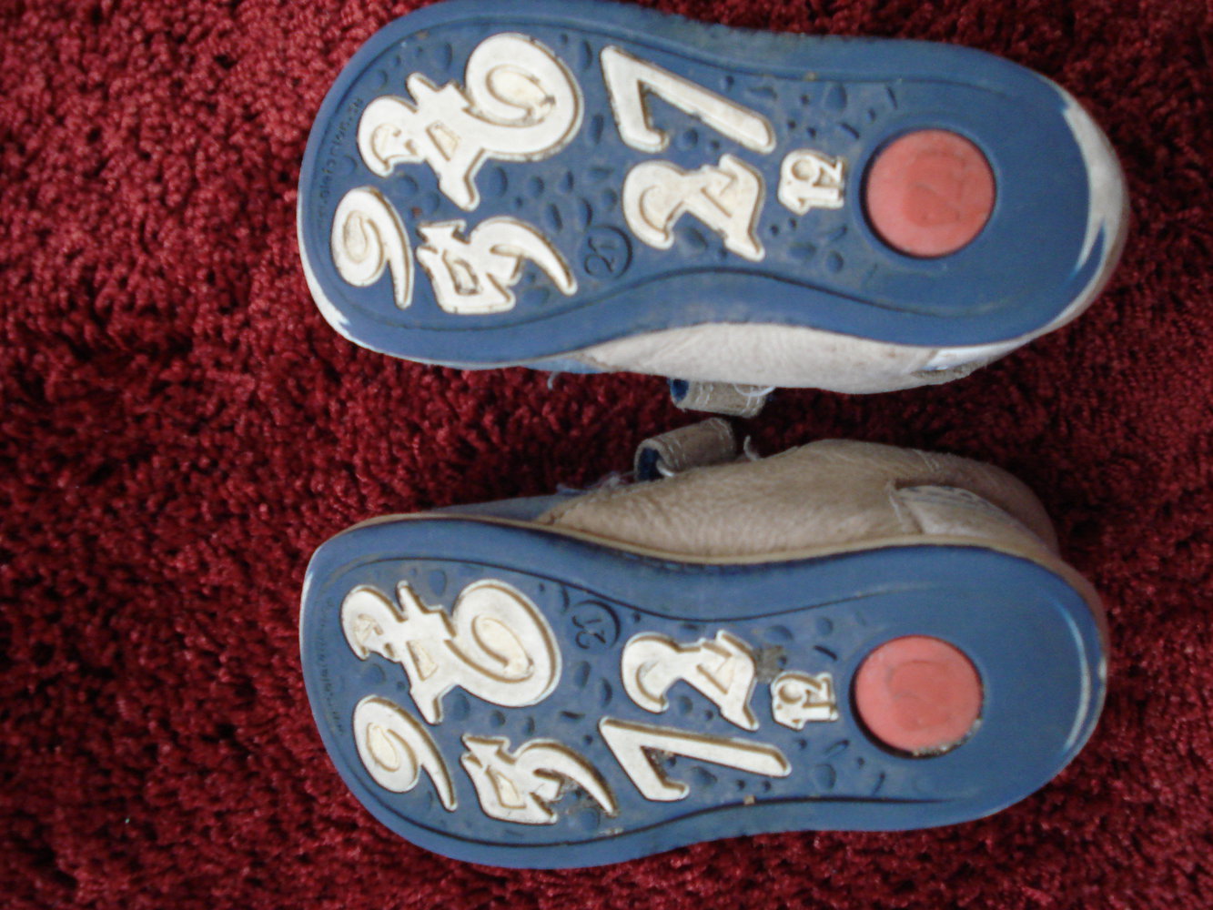 blaue Elefanten-Halbschuhe