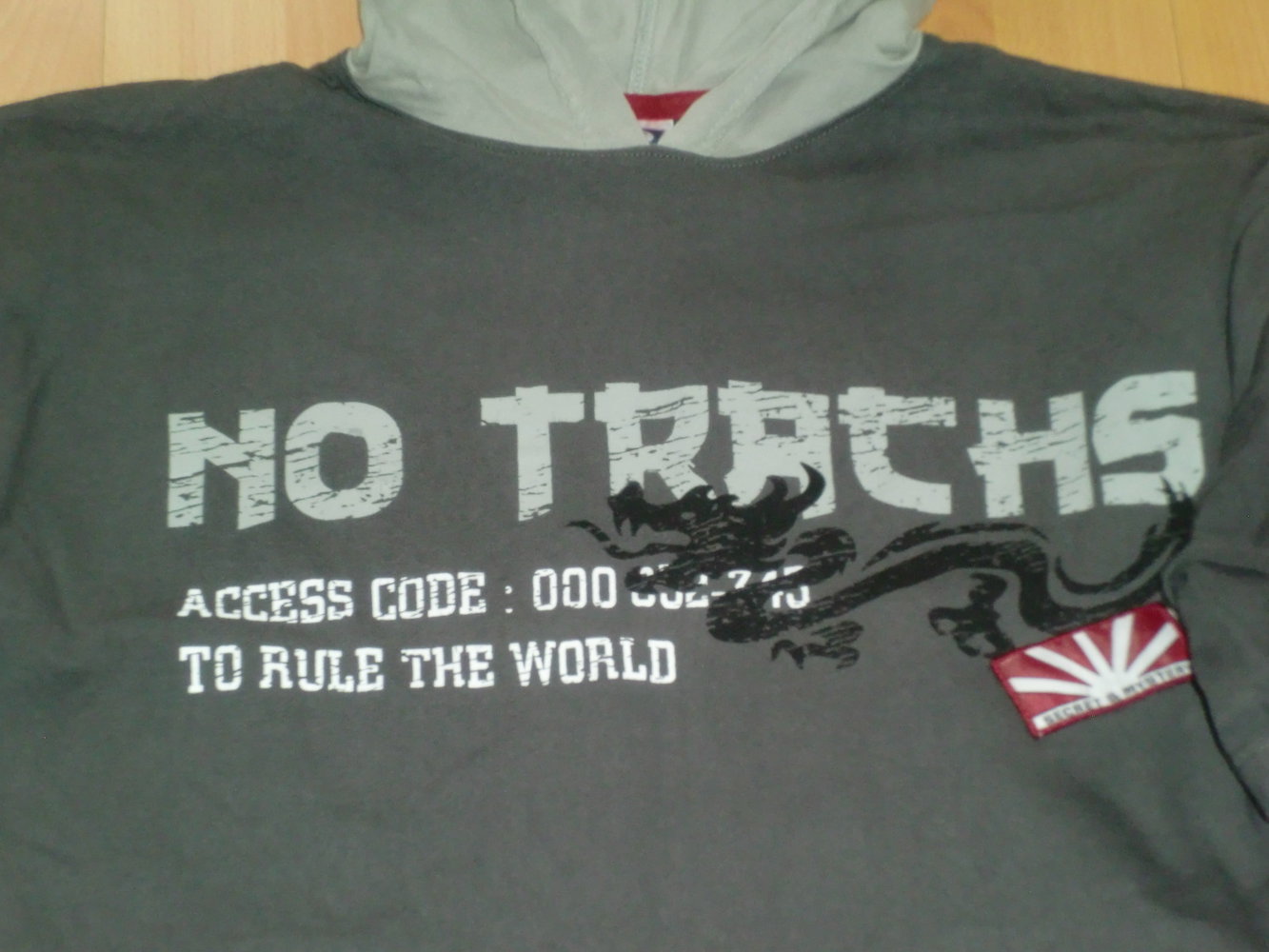 Shirt mit Kapuze, Gr. 170/176, grau