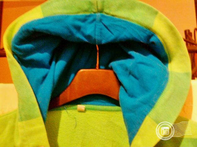 Jungen Sweatshirt Jacke Gr. 146/152 Hoody Grün