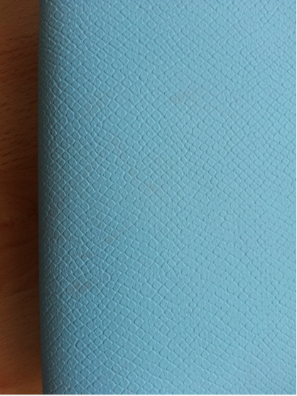 blaue Clutch mit goldenem Detail