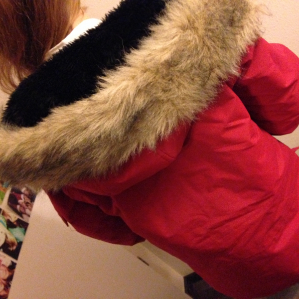 Carhartt Anchorage Parka rot Winterjacke