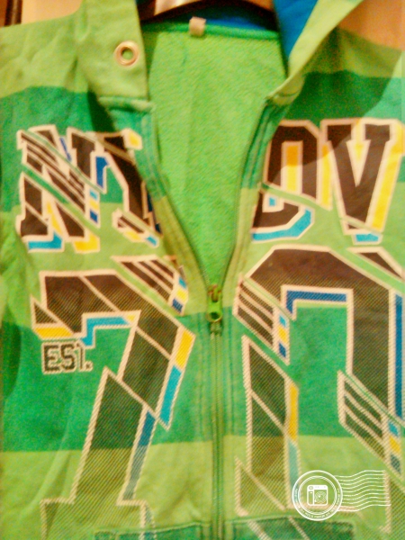 Jungen Sweatshirt Jacke Gr. 146/152 Hoody Grün