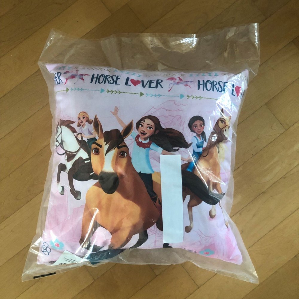 Deko Kissen Spirit neu 